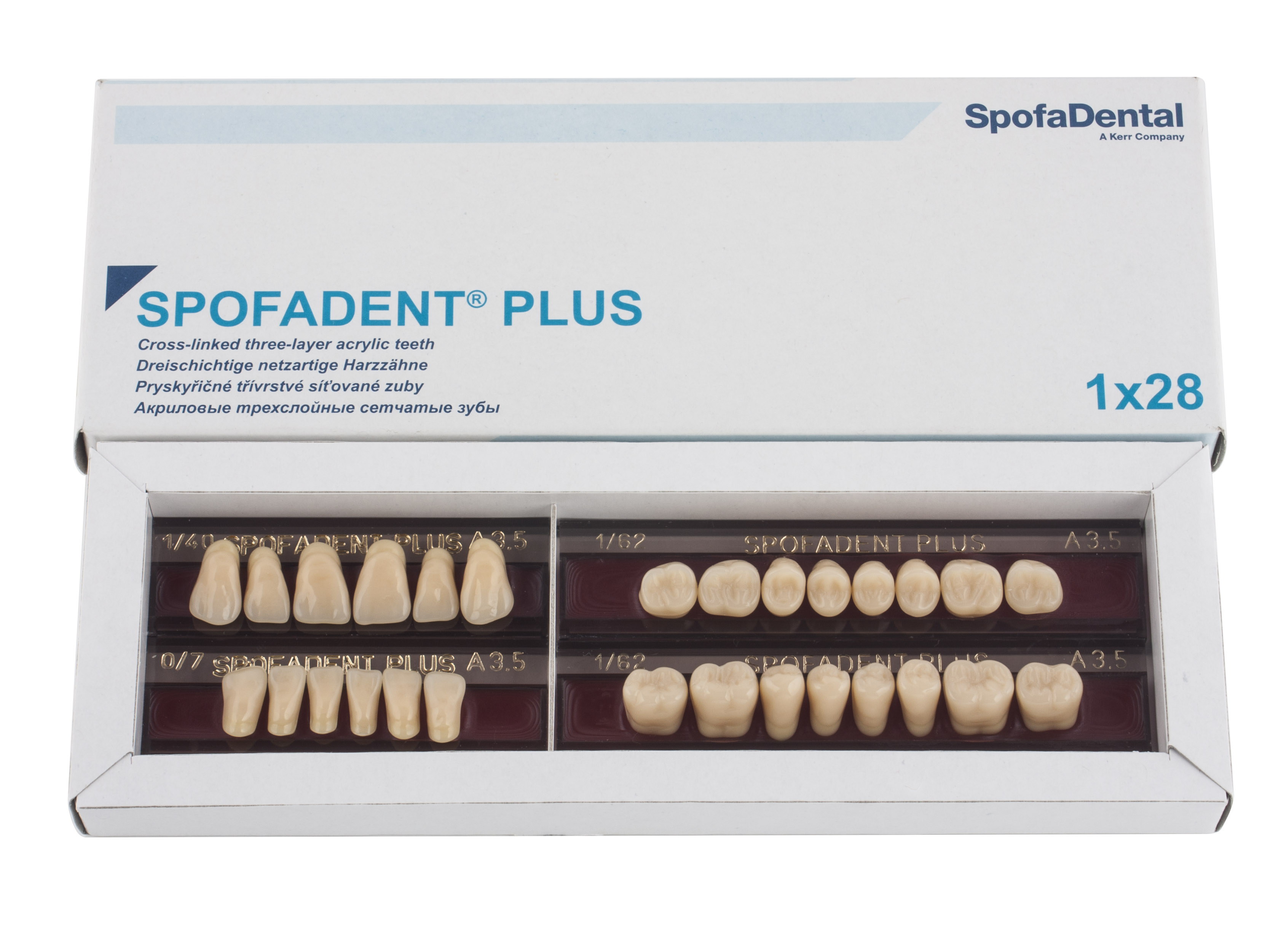 Spofadent Plus (А3,5) 1/40-0/7-1/62