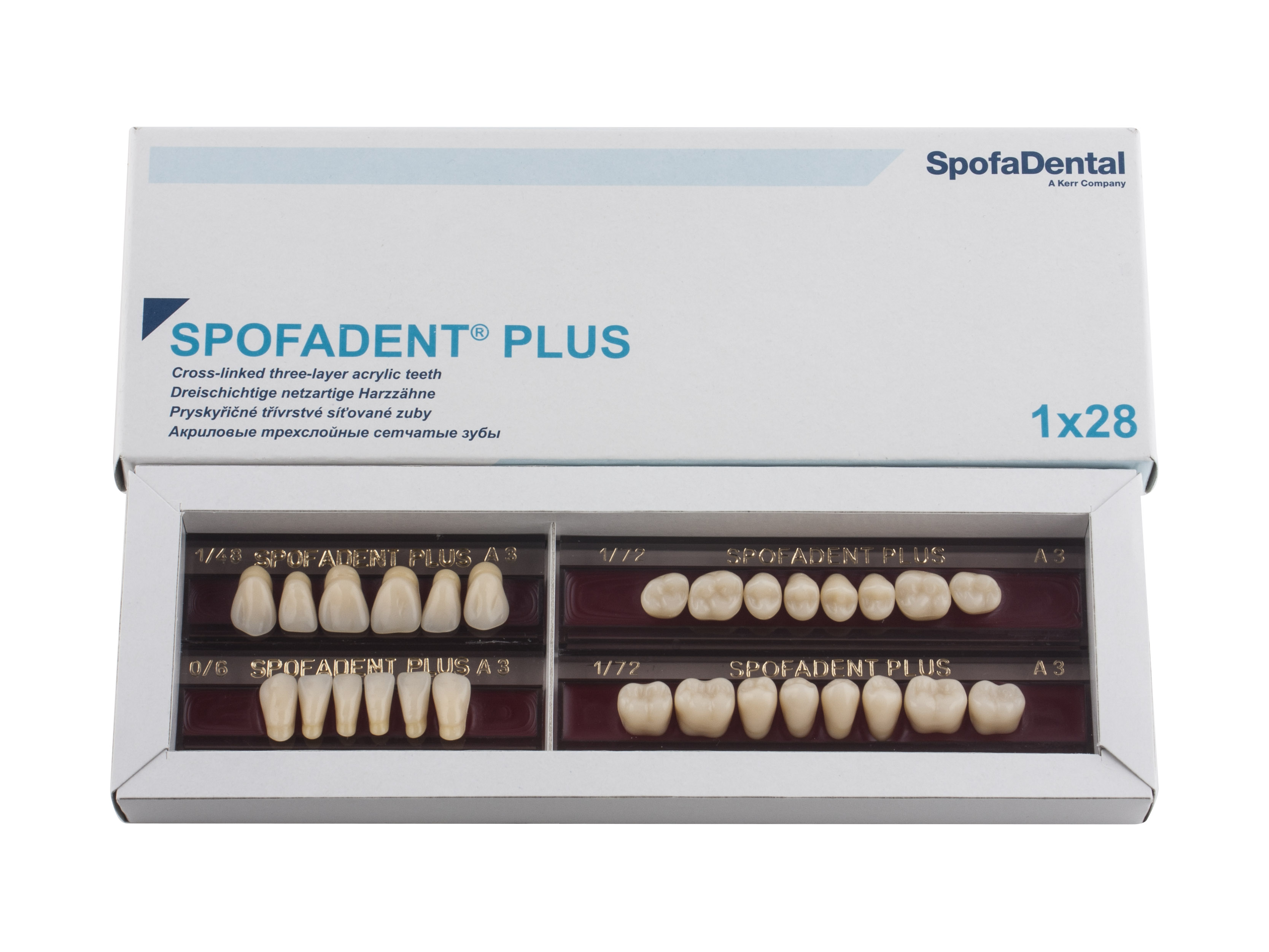 Spofadent Plus (А3) 1/48-0/6-1/72