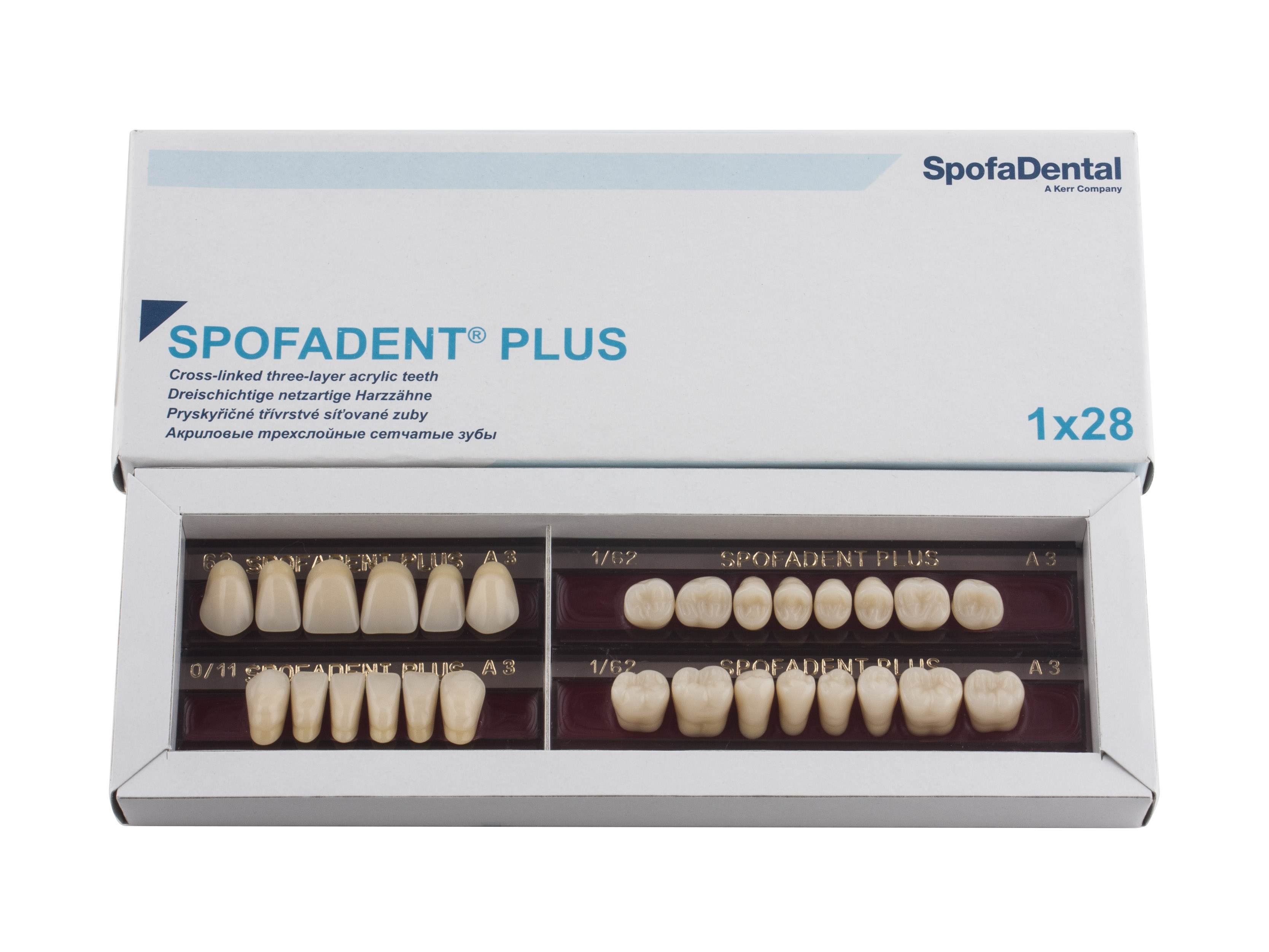 Spofadent Plus (А3) 62-0/11-1/62