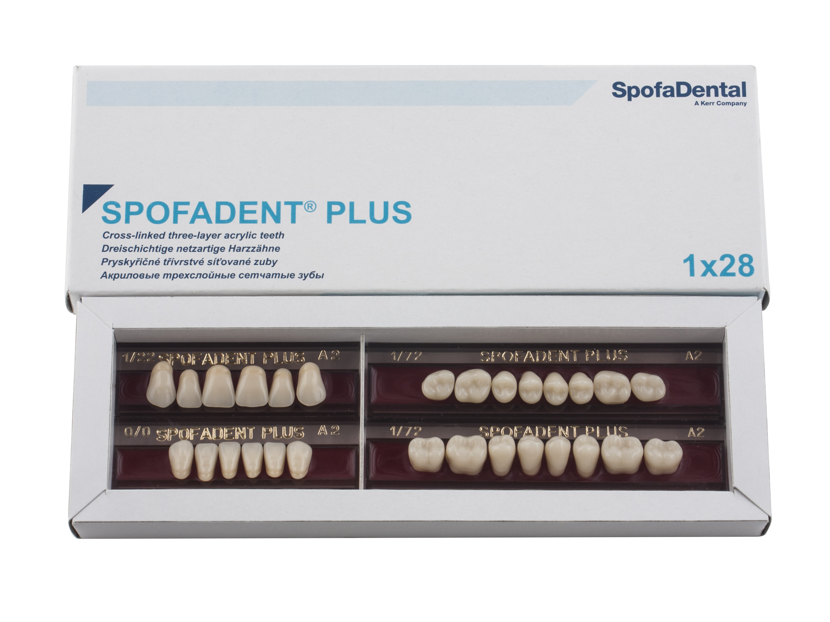 Spofadent Plus (А2) 1/22-0/0-1/72