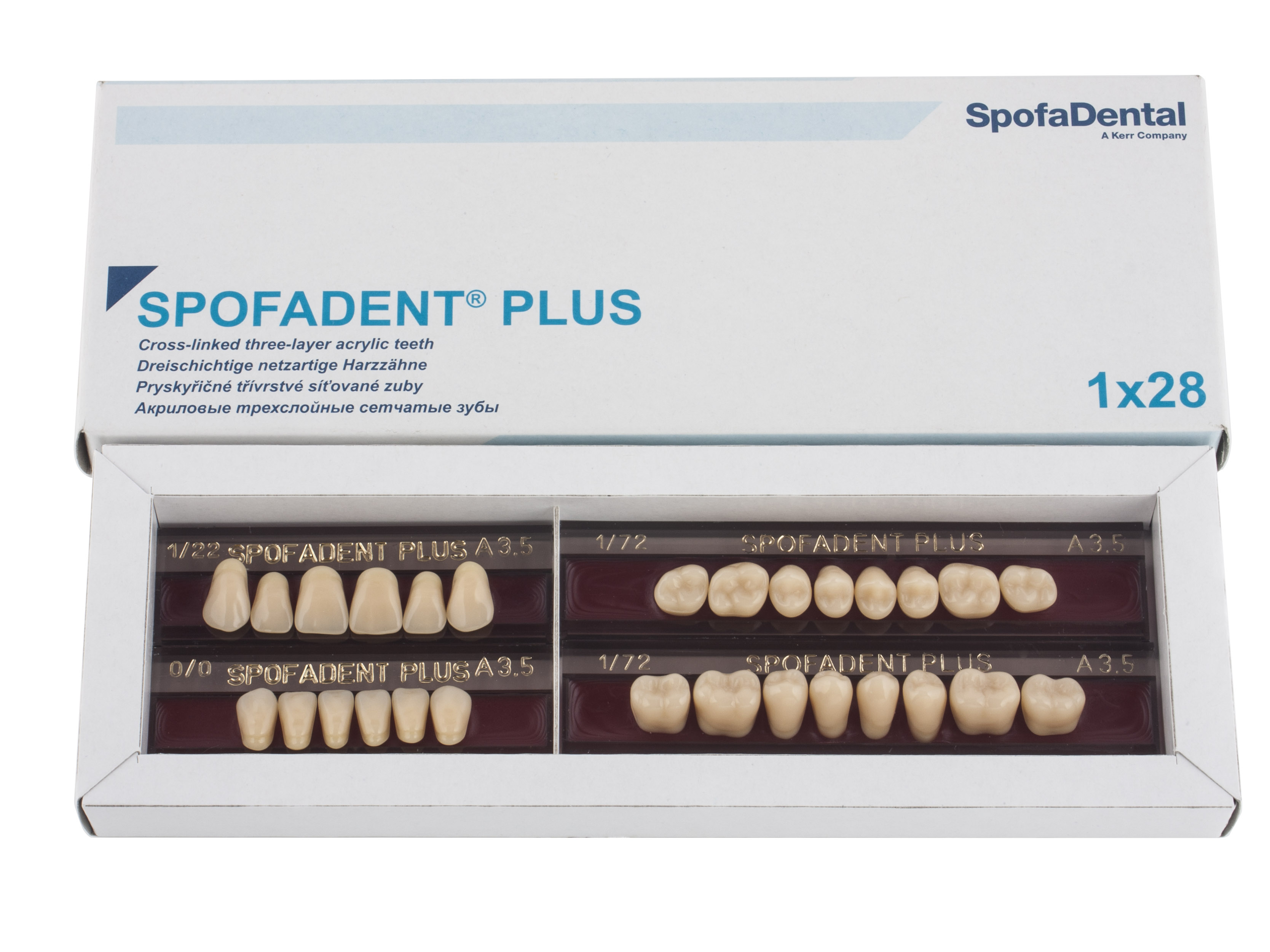 Spofadent Plus (А3,5) 1/22-0/0-1/72