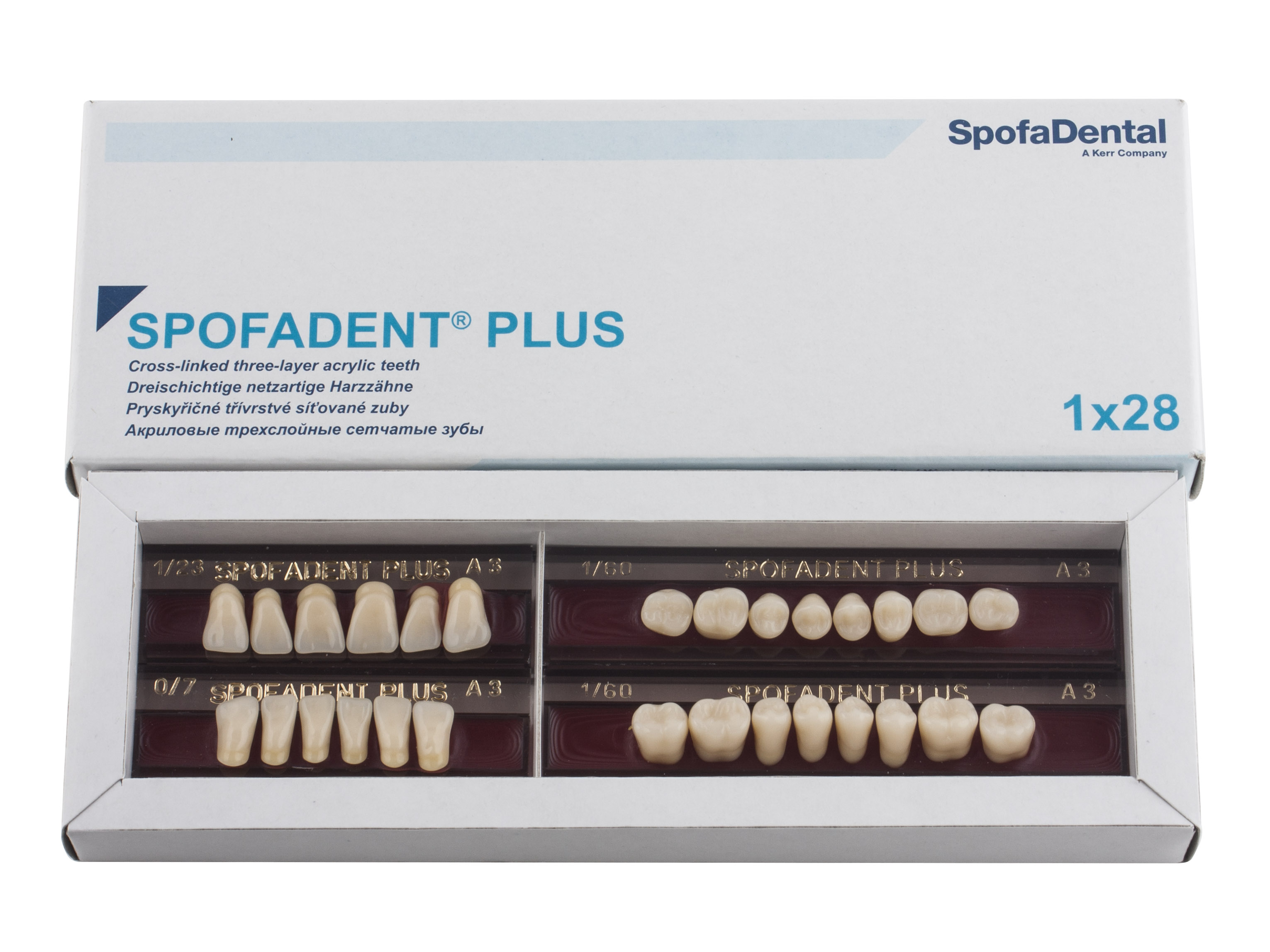 Spofadent Plus (А3) 1/23-0/7-1/60