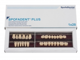 Spofadent Plus (А3,5) 1/47-0/6-1/72