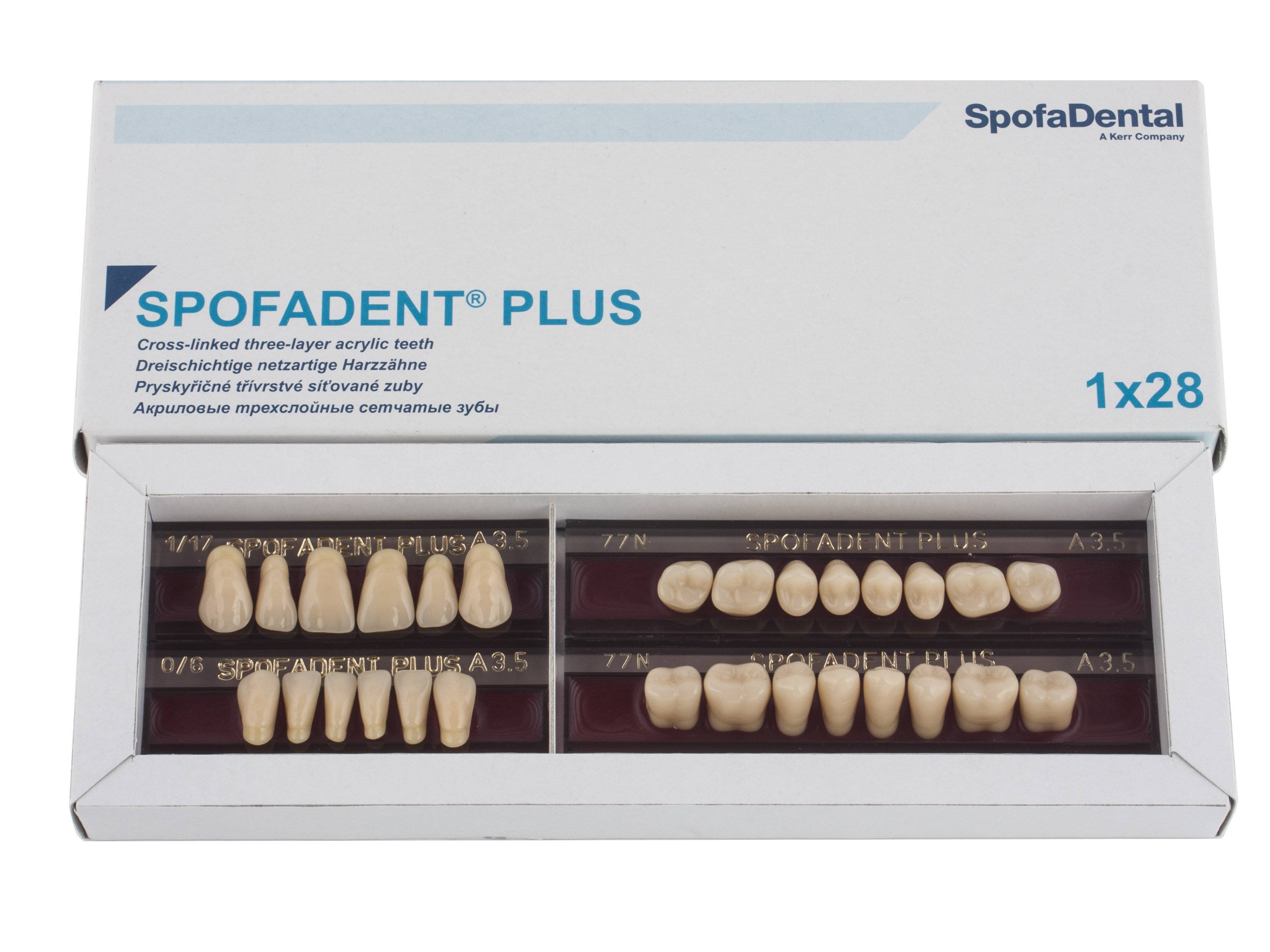 Spofadent Plus (А3,5) 1/17-0/6-77N