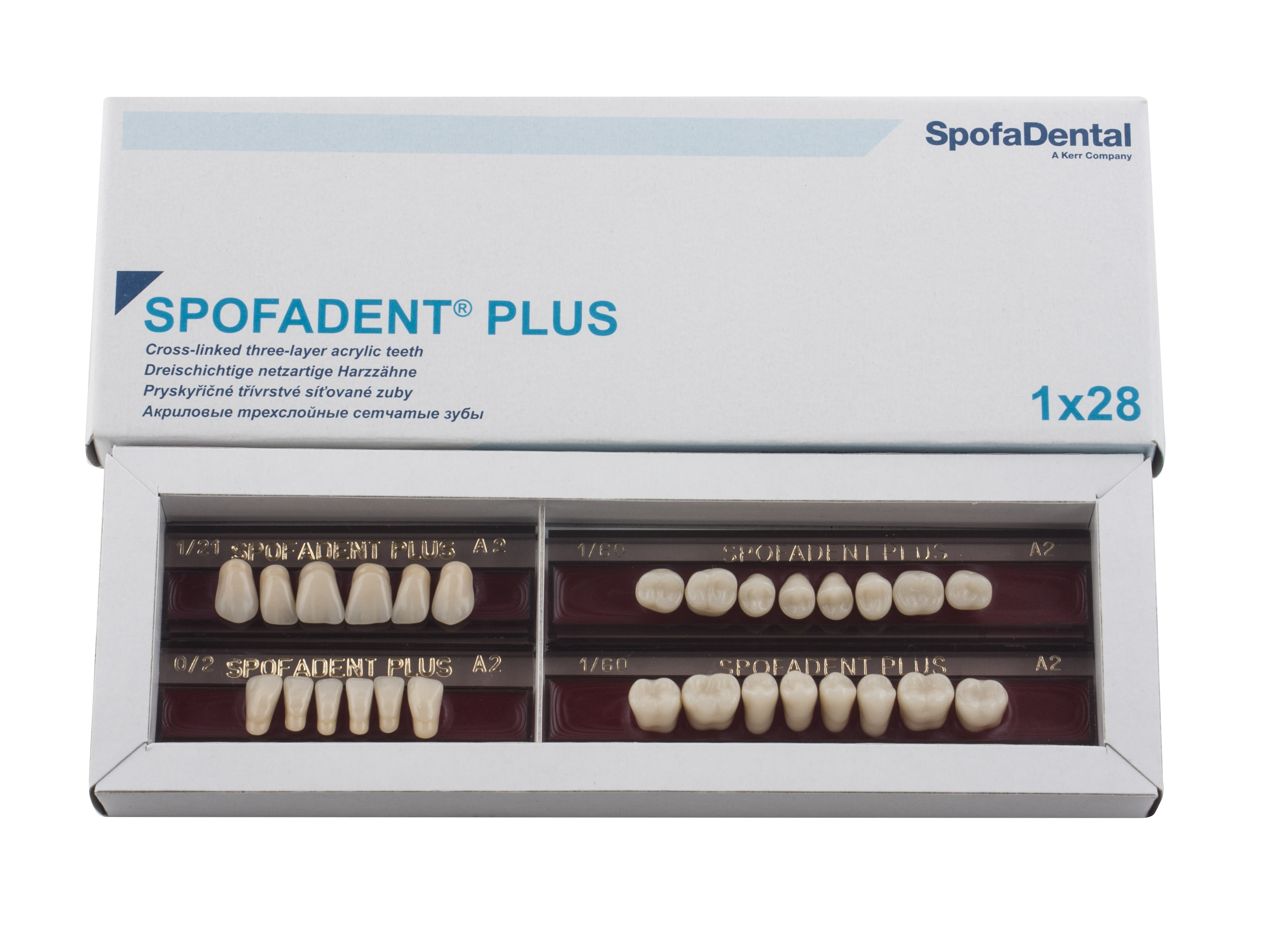 Spofadent Plus (А2) 1/21-0/2-1/60