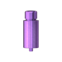 Абатмент SIC Milling Blank CAD/CAM Ø 4.2 mm, A-Line, GH 0.3 mm (incl. SIC Standard Fixation Screw)