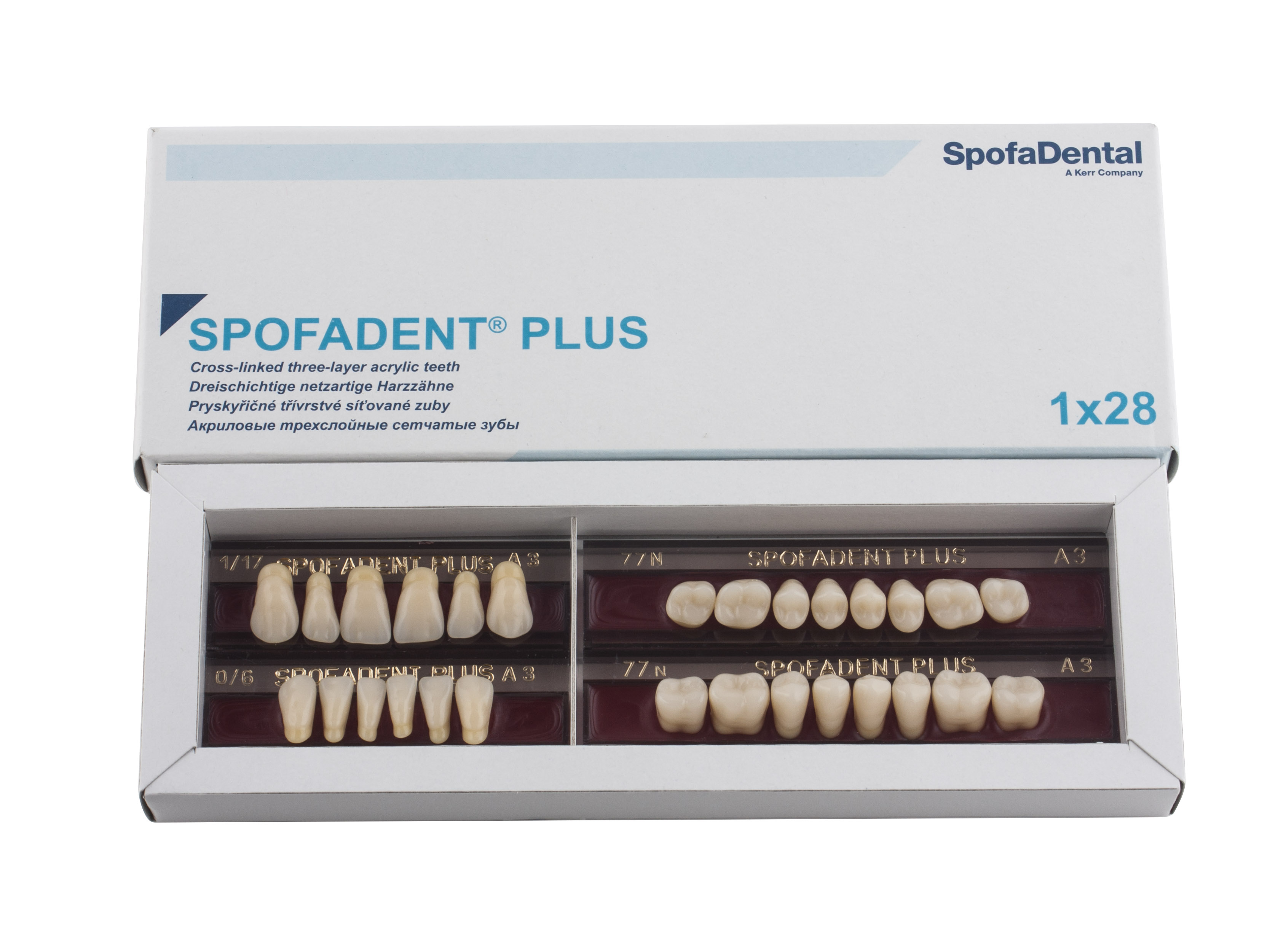 Spofadent Plus (А3) 1/17-0/6-77N