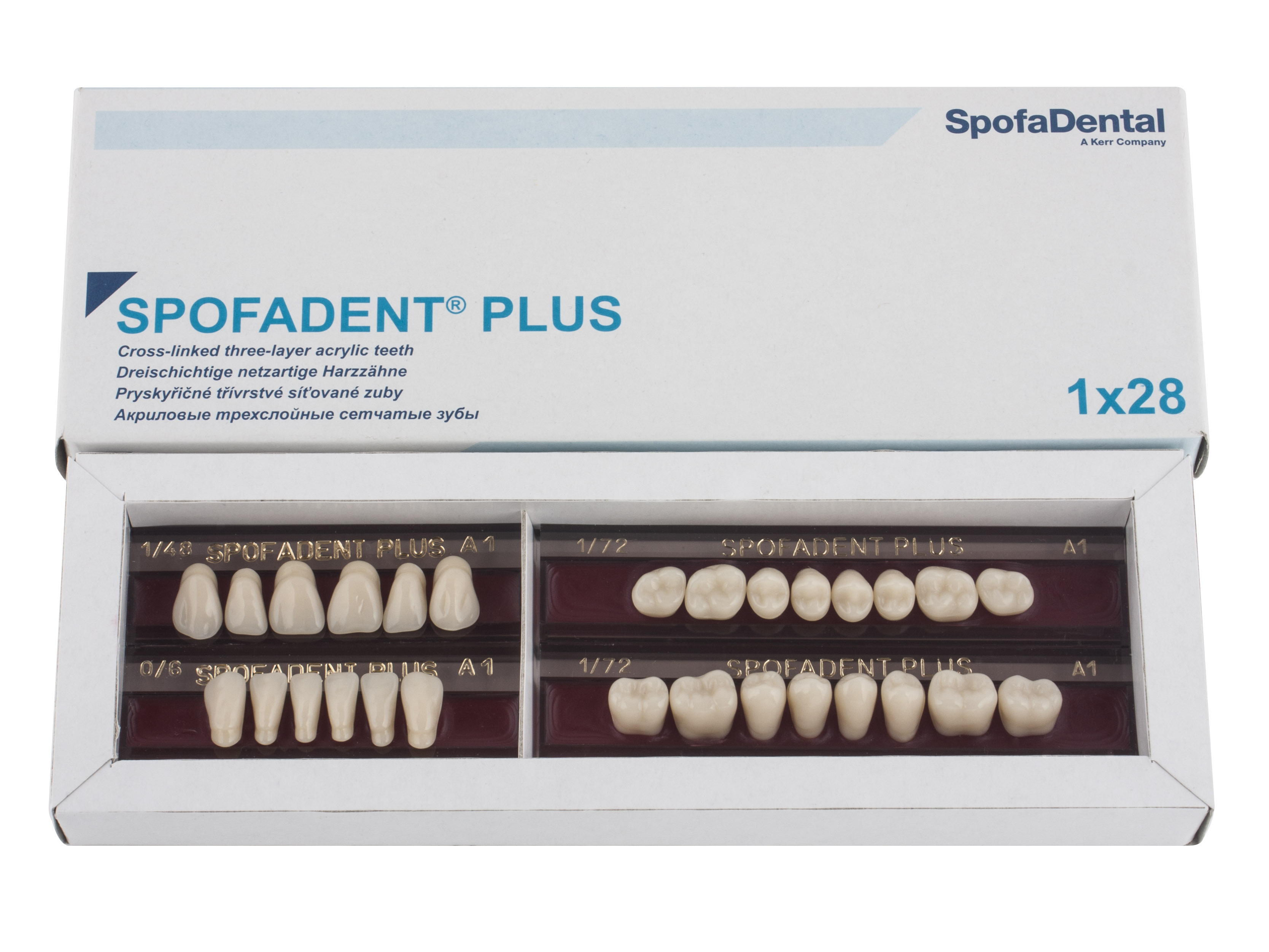 Spofadent Plus (А1) 1/48-0/6-1/72